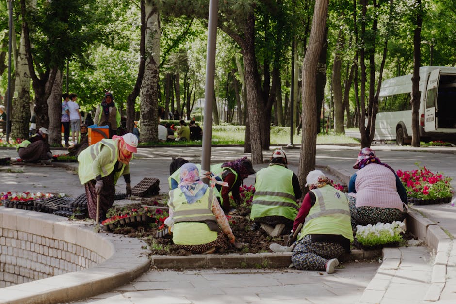 corporate volunteers planting trees