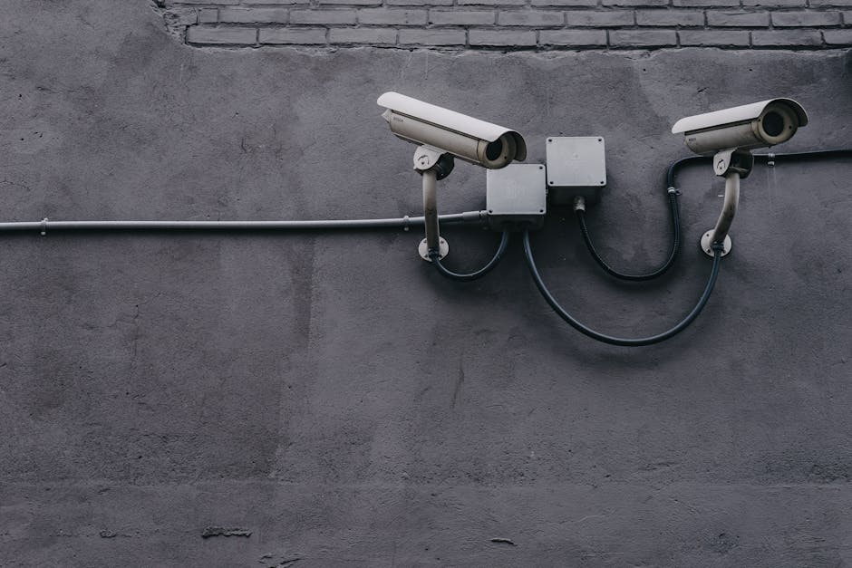 Data Privacy in the Modern Workplace: Protecting Your Organization's Most Valuable Asset