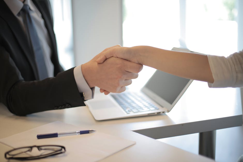 employees celebrating success in office