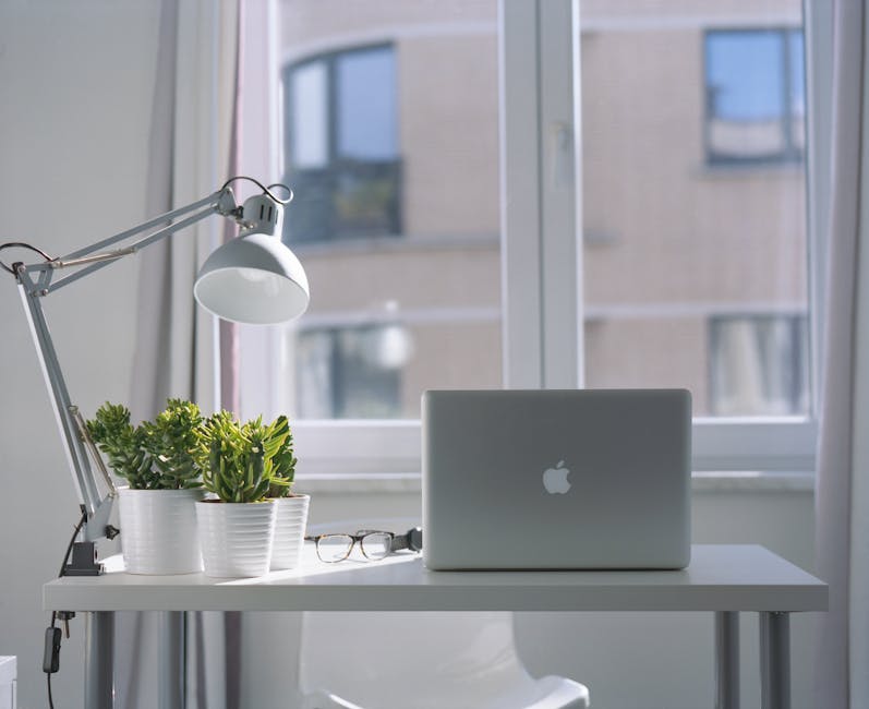 modern office with plants and air purifiers
