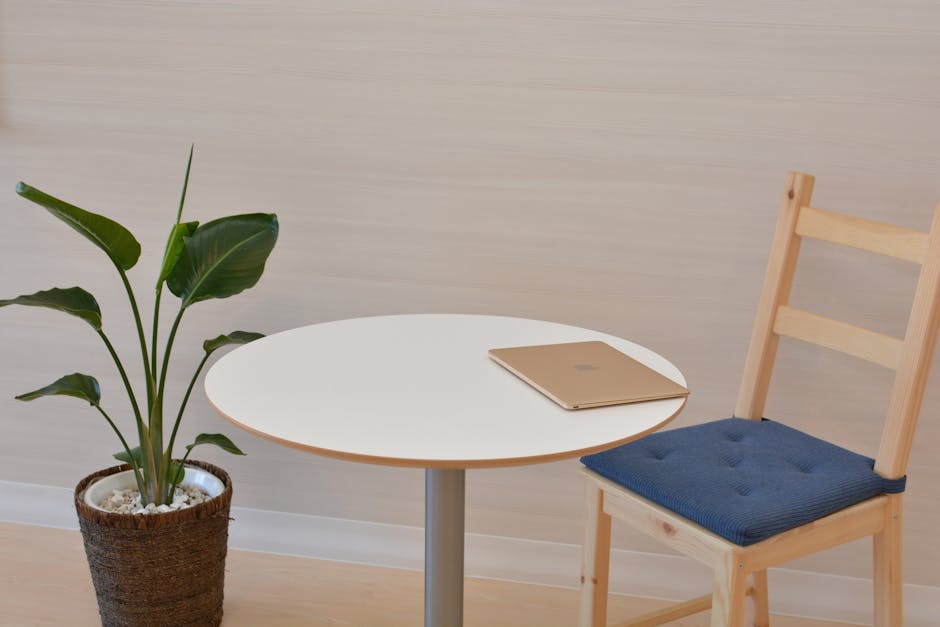 office relaxation area with natural lighting