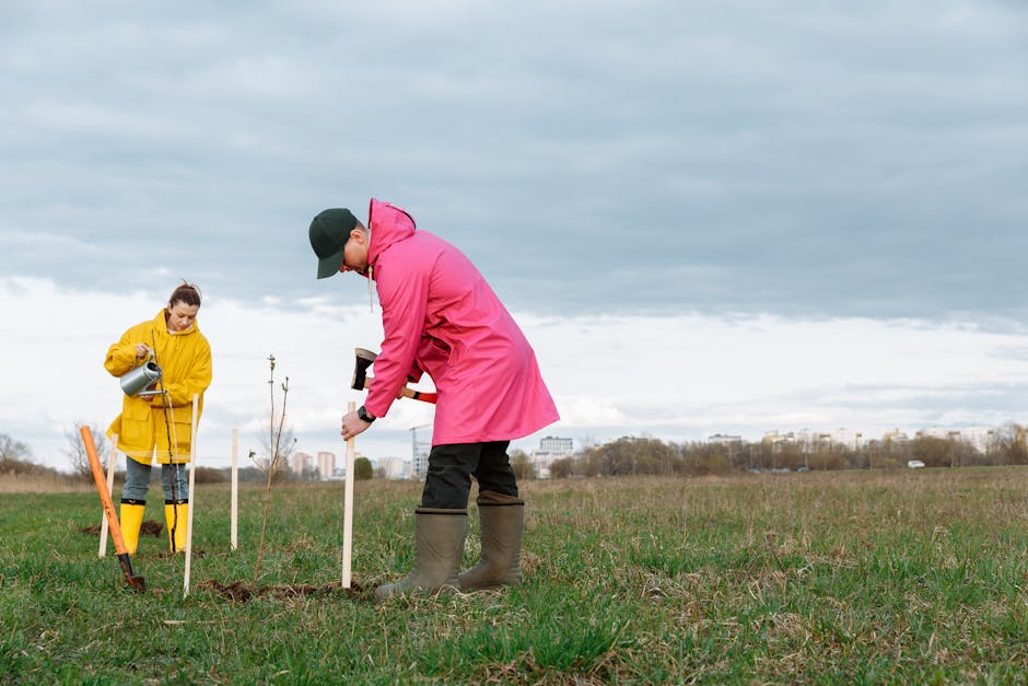 One Tree Planted: A Legitimate Force in Global Reforestation