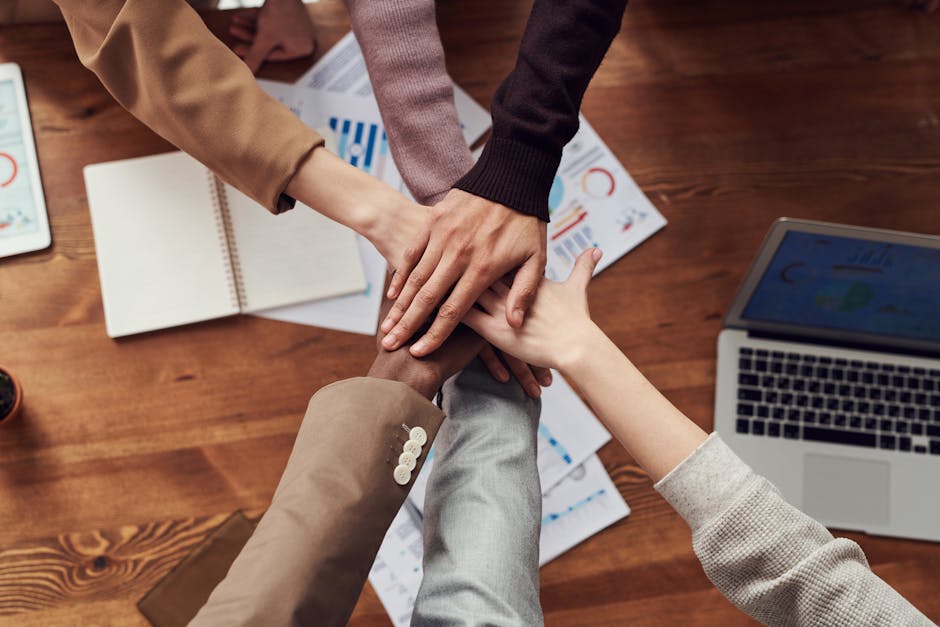 people collaborating in a meeting room