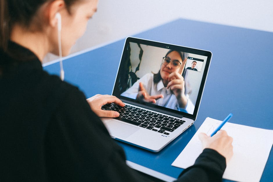 people in video conference meeting