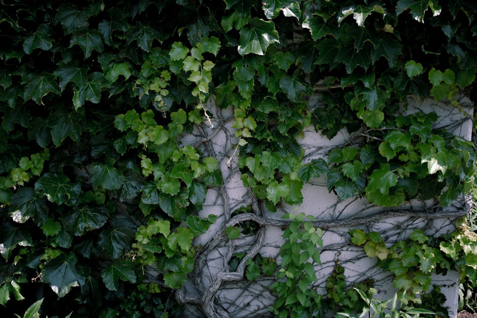 vertical garden or living wall in an office